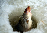 Русская зимняя рыбалка