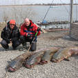 Региональные общества охотников и рыболовов 