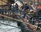 Выставка охота и рыболовство 2010  пятнами 
