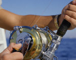 Фз 166 о рыболовстве  вроде делают воды