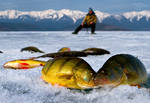 Зимняя рыбалка онлайн
