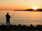 Охота и рыболовство  становится вида секторе