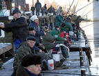 Правила рыбной ловли в украине заготовки снятием